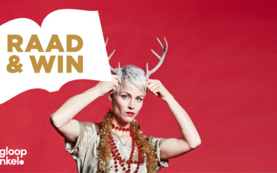 Doe mee aan onze winactie tijdens de kerst in De Kringloopwinkel!